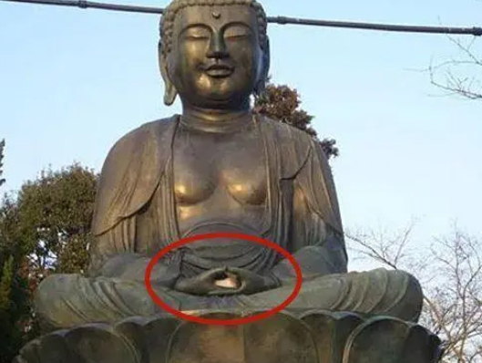 远远看到佛像手里有东西,走近一看笑喷,这猫有佛缘