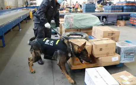 警犬怎么闻出毒品
