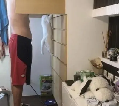 猫咪帮主人挑衣服,露出与爸爸同款小肚腩,画面温馨逗趣 猫咪帮主人挑衣服,露出与爸爸同款小肚腩,画面温馨逗趣