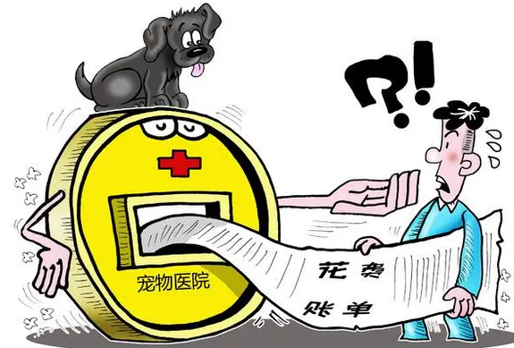 宠物医疗潜藏法律风险,听听法官怎么说 宠物医疗潜藏法律风险,听听法官怎么说