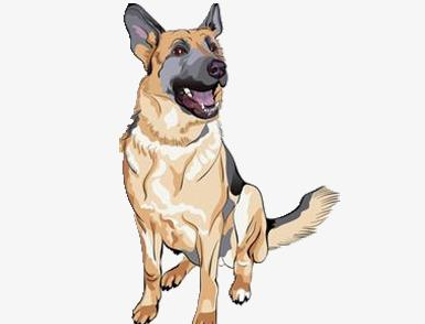 军犬怎么画霸气
