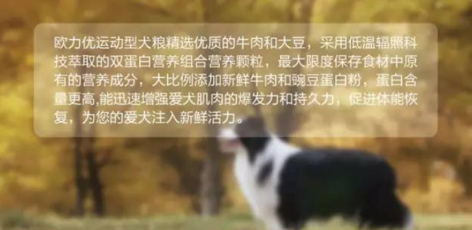 欧力优:源自欧洲 双蛋白运动型系列犬猫粮 欧力优:源自欧洲 双蛋白运动型系列犬猫粮