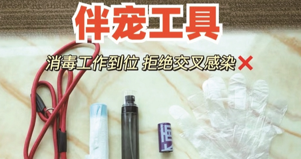 春节上门喂养宠物服务升温 有人称“轻松月入过万”业内人士提醒入行需慎重