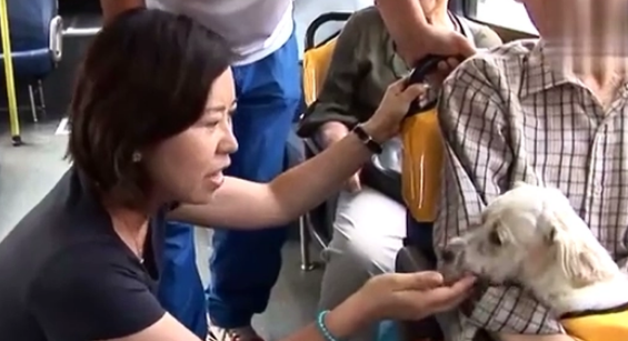 韩国,狗狗每天站在车站等待主人归来,好心人助力它和主人在一起 韩国,狗狗每天站在车站等待主人归来,好心人助力它和主人在一起