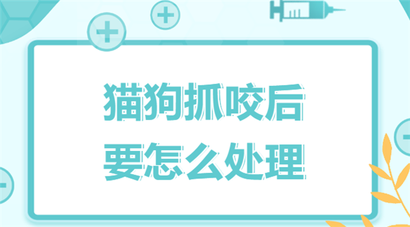猫狗抓咬后怎么处理？