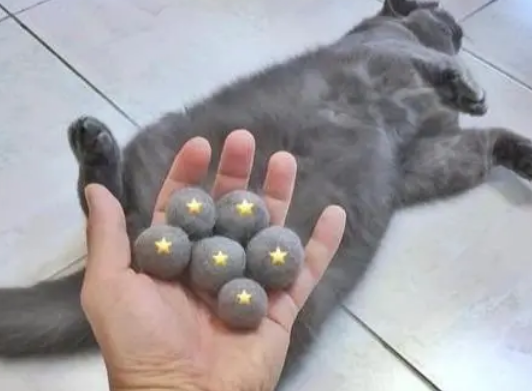 从猫咪身上搓了一个“黑球”，引起铲屎官共鸣：都可以织毛衣了