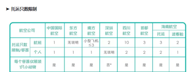 宠在旅途——宠物托运需要注意的事项 宠在旅途——宠物托运需要注意的事项