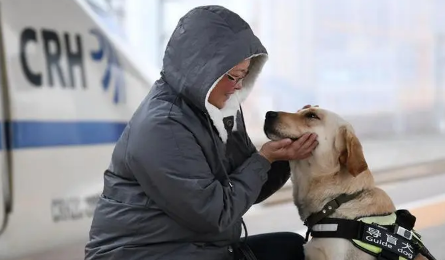 导盲犬能上火车吗