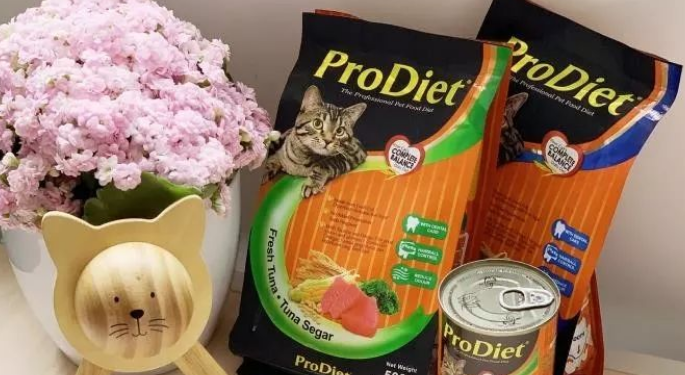 “圣猫”礼遇,博黛出品。 “圣猫”礼遇,博黛出品。