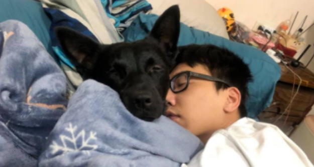 狗狗一个简单的举动，竟保持了几年，虽然平淡却更能打动人心！