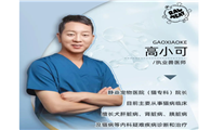 猫慢性肾病全方位讲座：预防，诊治，饮食，护理