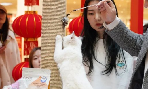猫咪进商场,前方高萌预警! 猫咪进商场,前方高萌预警!