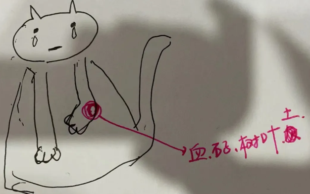 橘猫跛着腿,小心翼翼的讨要食物,好不容易获救,腿却无法痊愈了... 橘猫跛着腿,小心翼翼的讨要食物,好不容易获救,腿却无法痊愈了...