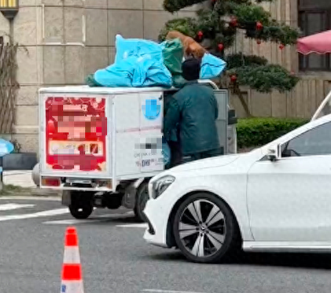 小哥在送快递时,将养的狗狗也一起带在了车上,双向奔赴好幸福! 小哥在送快递时,将养的狗狗也一起带在了车上,双向奔赴好幸福!