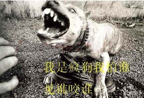 为什么骂人要带狗 为什么骂人要带狗