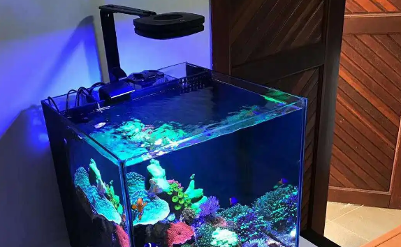 蓝甸鱼缸下水噪音 蓝甸鱼缸下水噪音