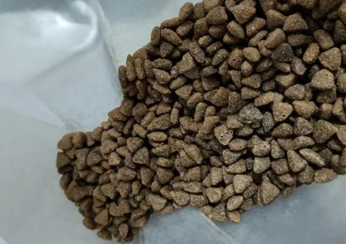 永驰猫粮怎么样 永驰猫粮怎么样