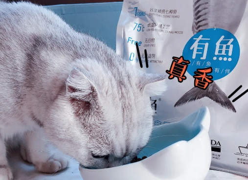 有鱼携“七种鱼猫粮”上岸豫园,新品牌与资本的双向奔赴,有哪些值得关注的地方? 有鱼携“七种鱼猫粮”上岸豫园,新品牌与资本的双向奔赴,有哪些值得关注的地方?