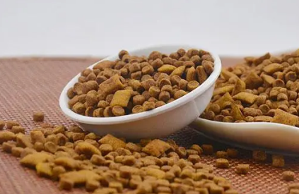 奇仔猫粮安全吗