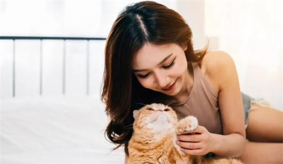 猫咪的十大禁忌食物