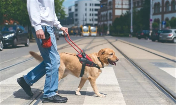 导盲犬知道主人看不见吗 导盲犬知道主人看不见吗