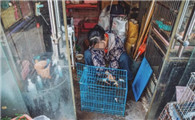 狗铺子老板娘村口铺子老板娘