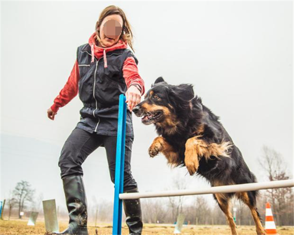 牵犬师是什么职业 牵犬师是什么职业