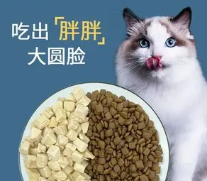 猫盼猫粮是毒猫粮吗