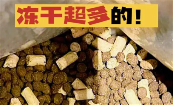 奇仔猫粮好不好
