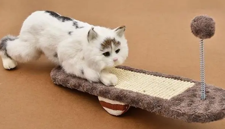 猫天天在家里会觉得无聊吗 猫天天在家里会觉得无聊吗