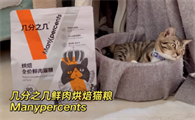几分之几猫粮好吗