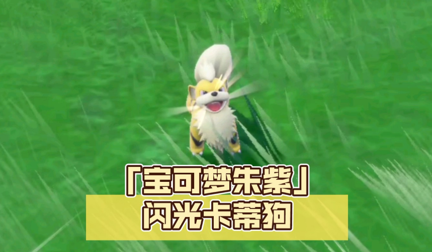 朱紫卡蒂狗特性选什么