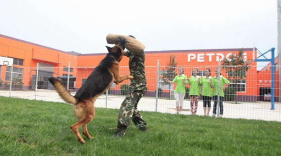 训犬师国家资格证 训犬师国家资格证
