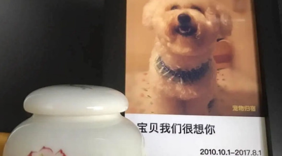 狗火化后骨灰能不能带回家? 狗火化后骨灰能不能带回家?