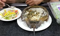 吃鲎有什么好处