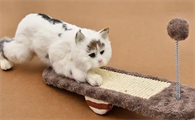 猫天天在家里会觉得无聊吗