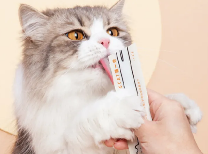 猫条是什么东西 猫条是什么东西