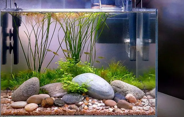 森语水族缸如何
