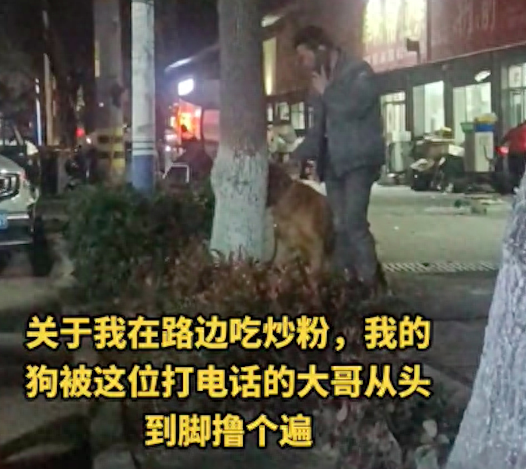 大哥打电话时,将拴在树上的狗从头到脚撸个遍! 大哥打电话时,将拴在树上的狗从头到脚撸个遍!