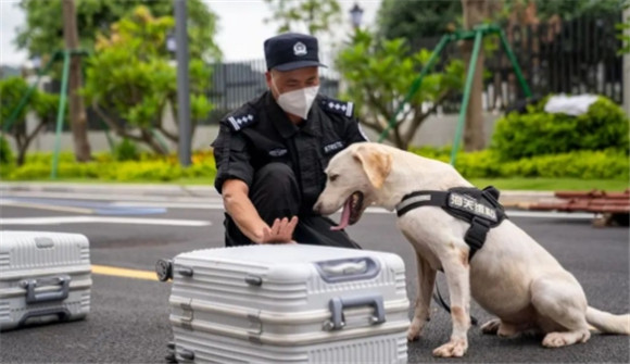 缉毒犬查不出来的毒品有哪些 缉毒犬查不出来的毒品有哪些