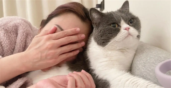 把猫咪当枕头会压疼它吗