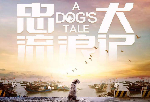搜救犬叮当是什么电视剧
