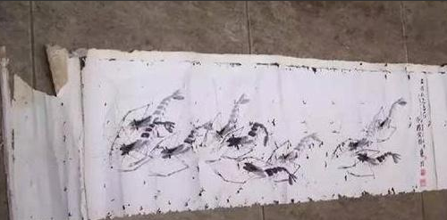 哈士奇被送到了爷爷家，结果把收藏的画咬烂了，气得爷爷要炖了它