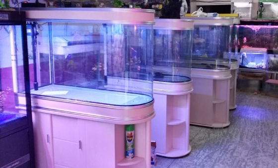 森语水族保质期多久