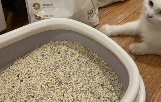 喵怪兽猫砂好不好 喵怪兽猫砂好不好