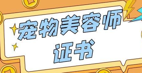 如何成为一名顶级宠物美容师:技能、耐心与爱心的交织 如何成为一名顶级宠物美容师:技能、耐心与爱心的交织