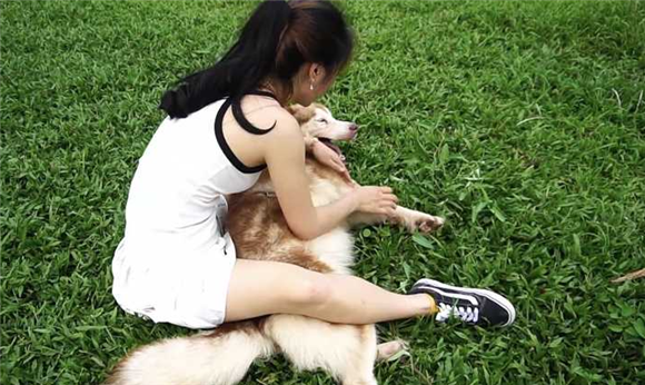 女穿小裙子骑狗
