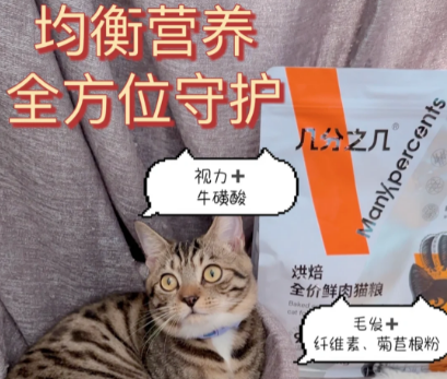 几分之几猫粮能吃吗 几分之几猫粮能吃吗