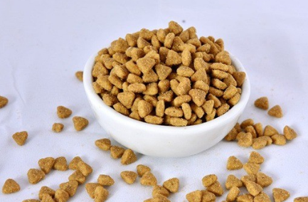 奇仔猫粮质量好不