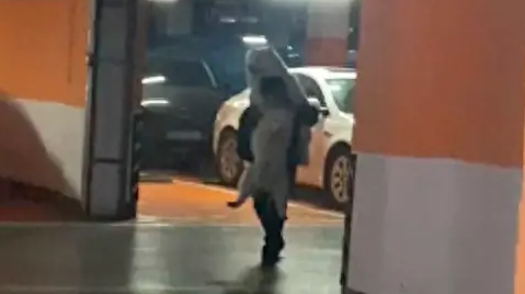 为了不让两只萨摩耶弄脏,主人从车库硬生生扛到家,好像在偷狗啊 为了不让两只萨摩耶弄脏,主人从车库硬生生扛到家,好像在偷狗啊